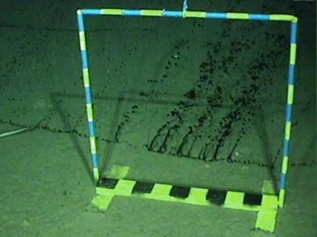 A ANP tem monitorado o vazamento com diversas imagens submarinas feitas por um veículo operado remotamente